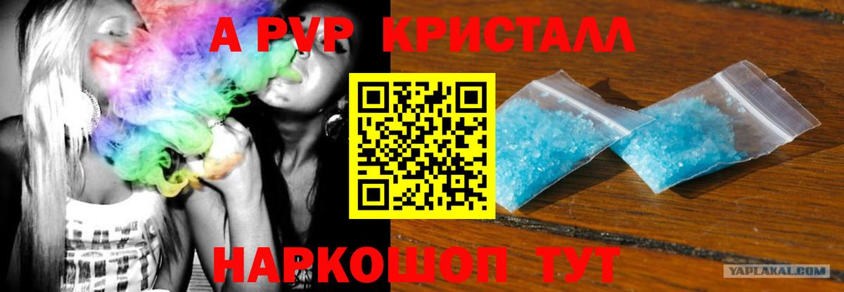 Alfa_PVP СК Североморск