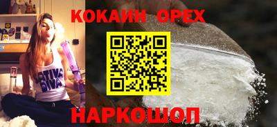 стаф Дубна
