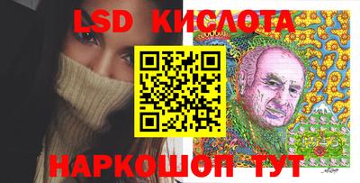 стаф Дубна