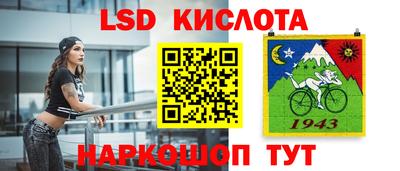 стаф Дубна
