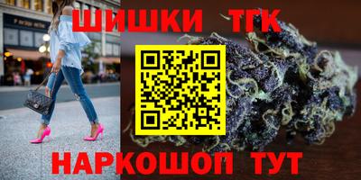 стаф Дубна