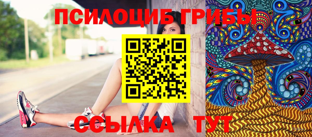 Псилоцибиновые грибы Psilocybine cubensis Североморск