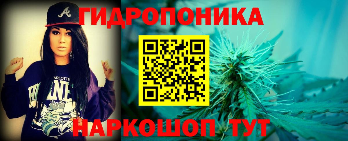 Североморск  Бошки Шишки THC 21%  Бошки Шишки гибрид  Конопля Amnesia  Вход с VPN  Марихуана сатива 